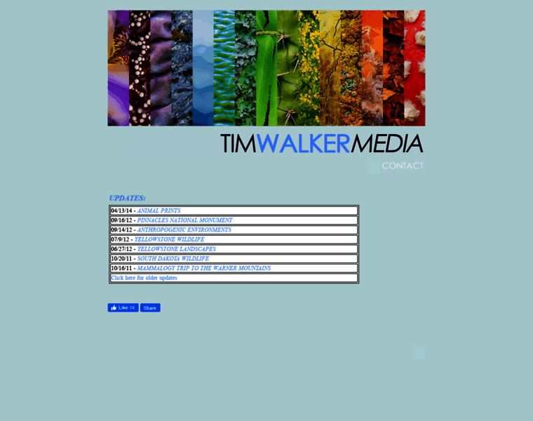 Timwalkermedia.com thumbnail