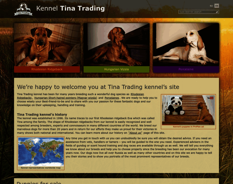 Tina-trading.com thumbnail