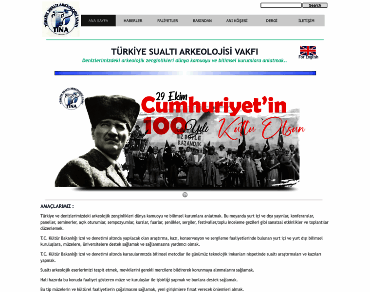 Tinaturk.org thumbnail