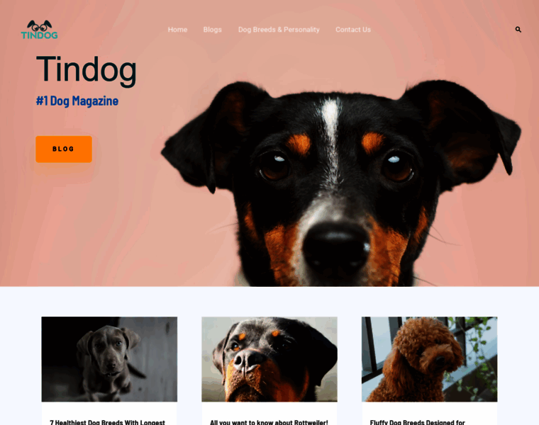 Tindog.co thumbnail