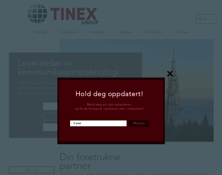Tinexgroup.no thumbnail