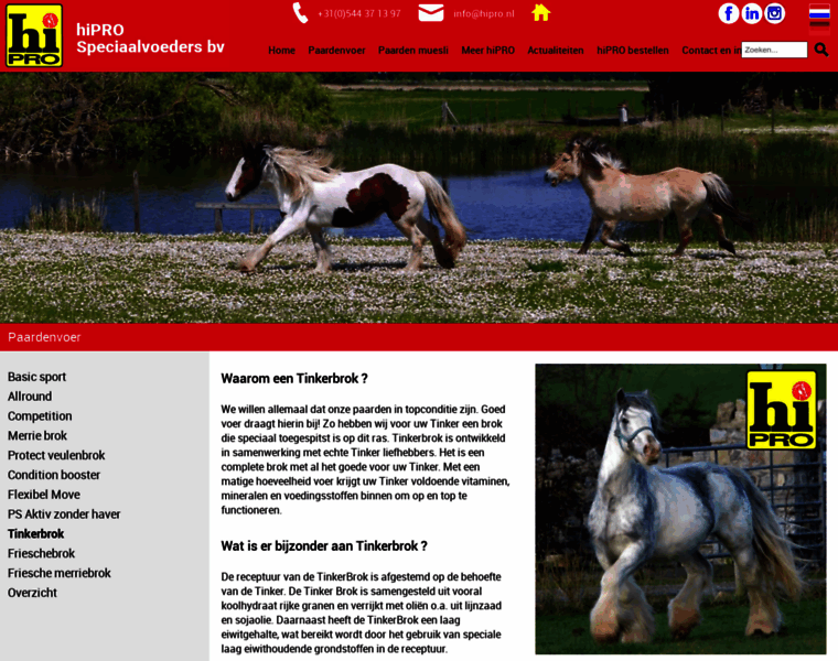 Tinkerbrok.nl thumbnail