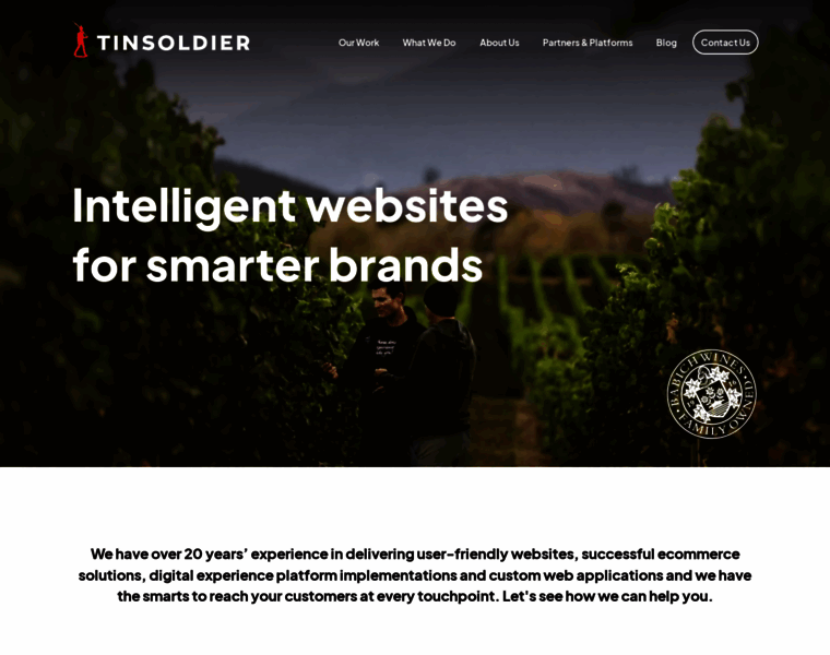 Tinsoldier.co.nz thumbnail