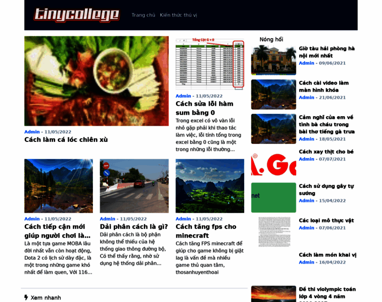 Tinycollege.edu.vn thumbnail