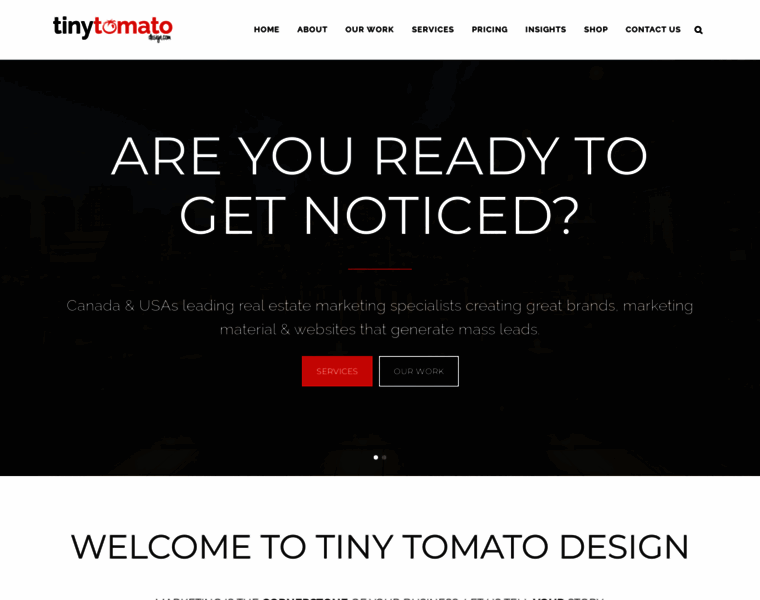 Tinytomatodesign.com thumbnail