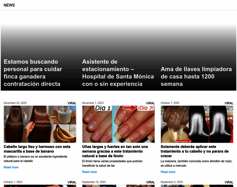 Tiposdeflores.site thumbnail