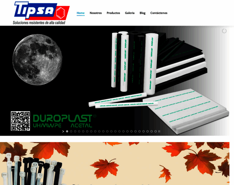 Tipsaplastic.com thumbnail