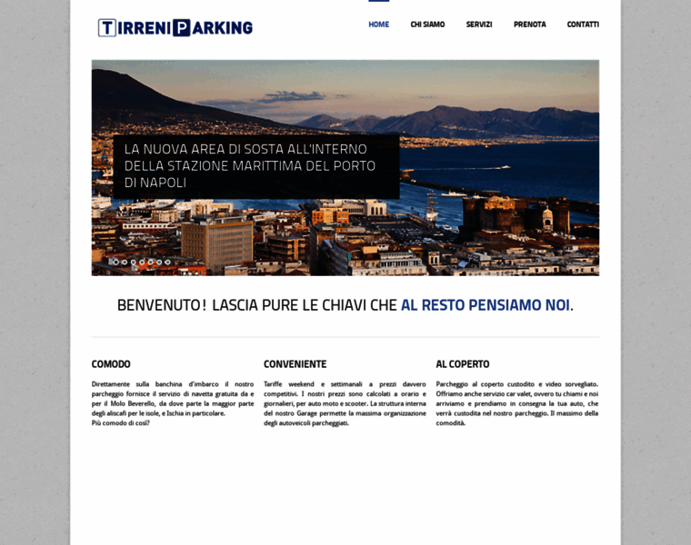 Tirreniparking.it thumbnail