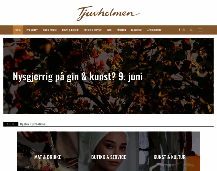 Tjuvholmen.no thumbnail
