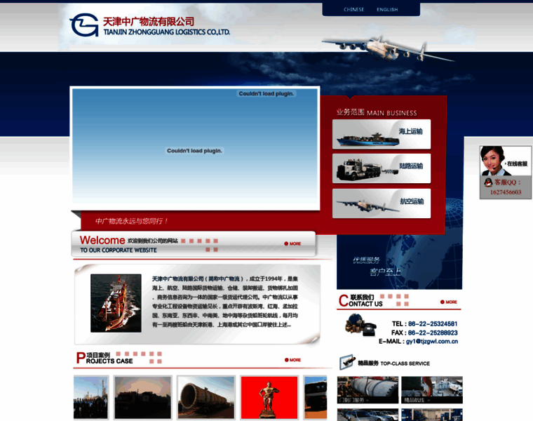 Tjzgwl.com.cn thumbnail
