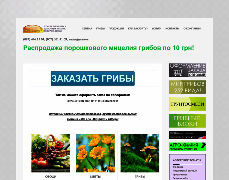 Tmsalex.com.ua thumbnail