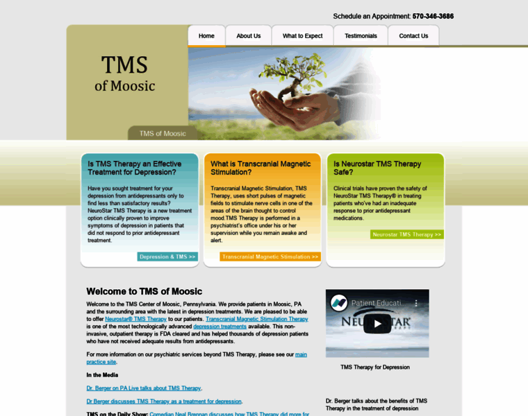 Tmsmoosic.com thumbnail