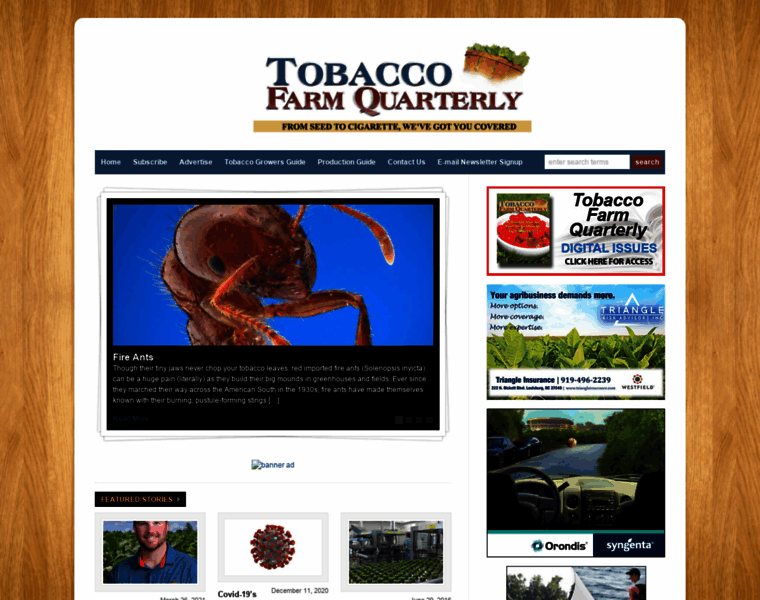 Tobaccofarmquarterly.com thumbnail