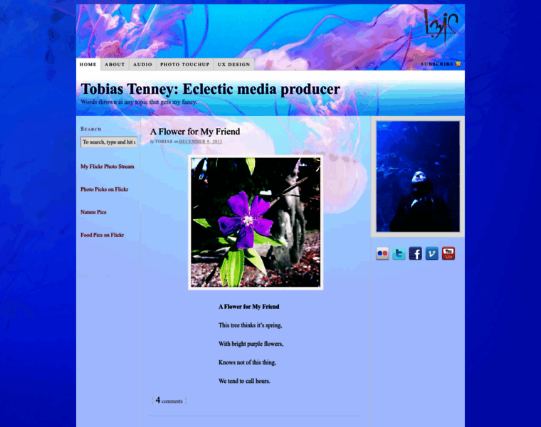 Tobiastenney.com thumbnail