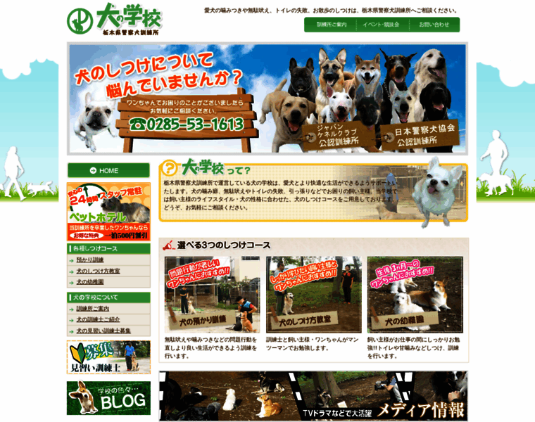 Tochigi-dogschool.com thumbnail