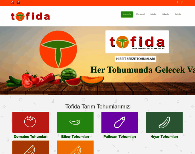 Tofida.com thumbnail