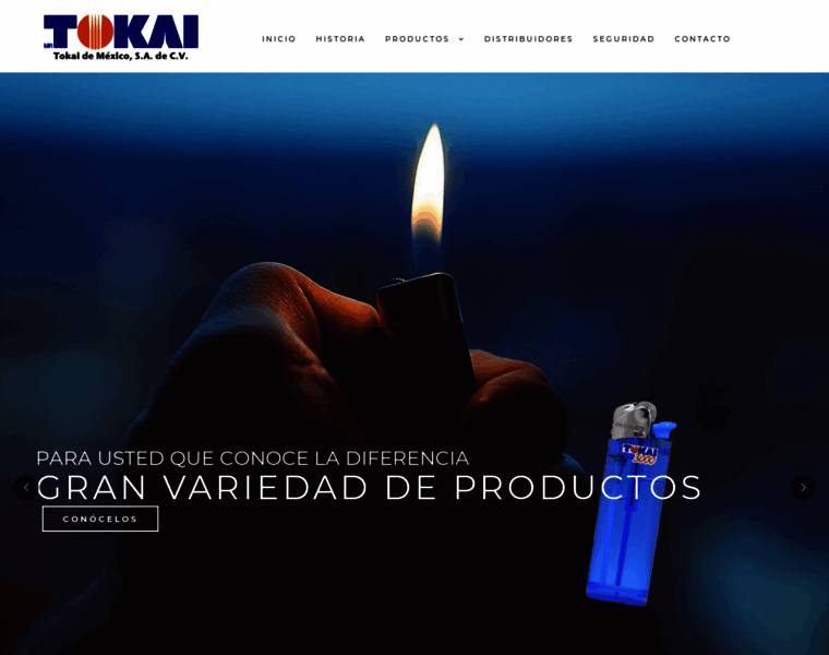 Tokai.mx thumbnail