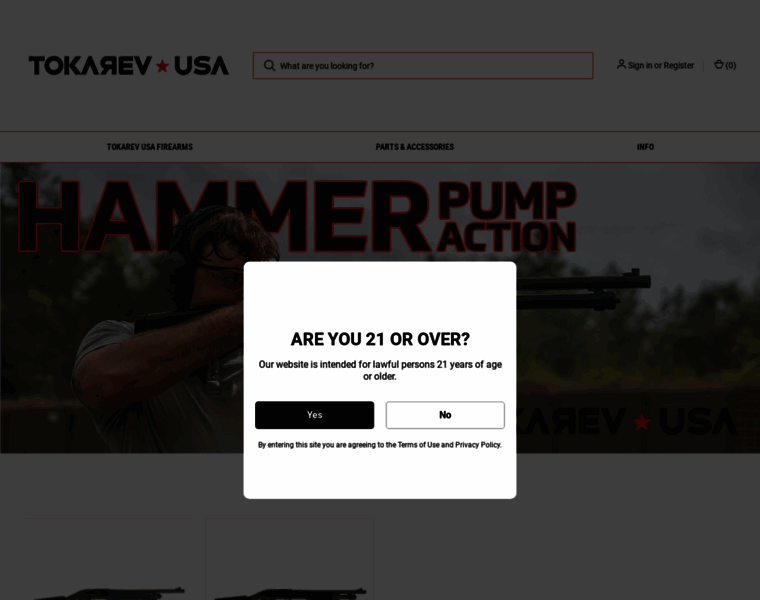 Tokarevusa.com thumbnail