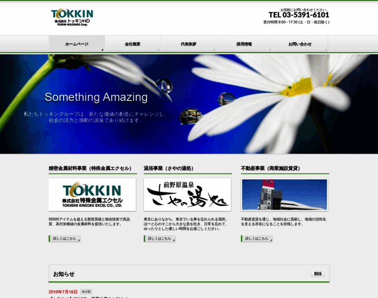 Tokkin-holdings.co.jp thumbnail