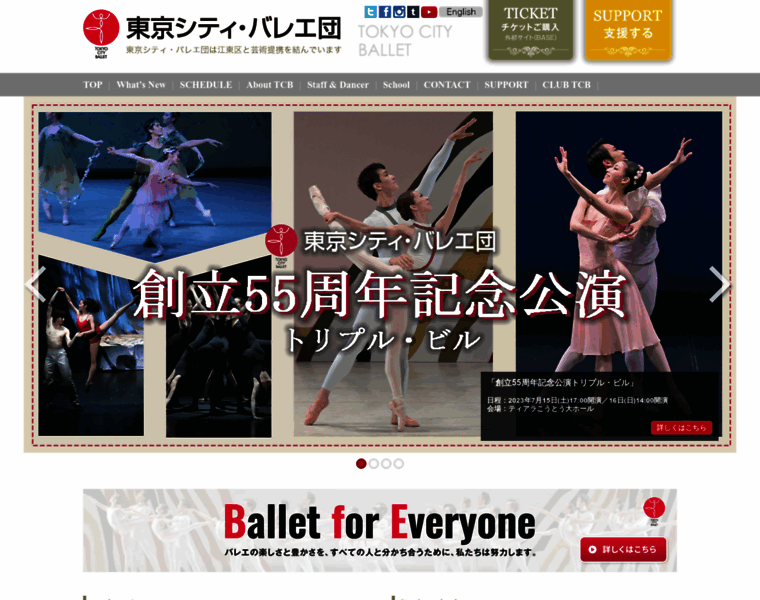 Tokyocityballet.org thumbnail