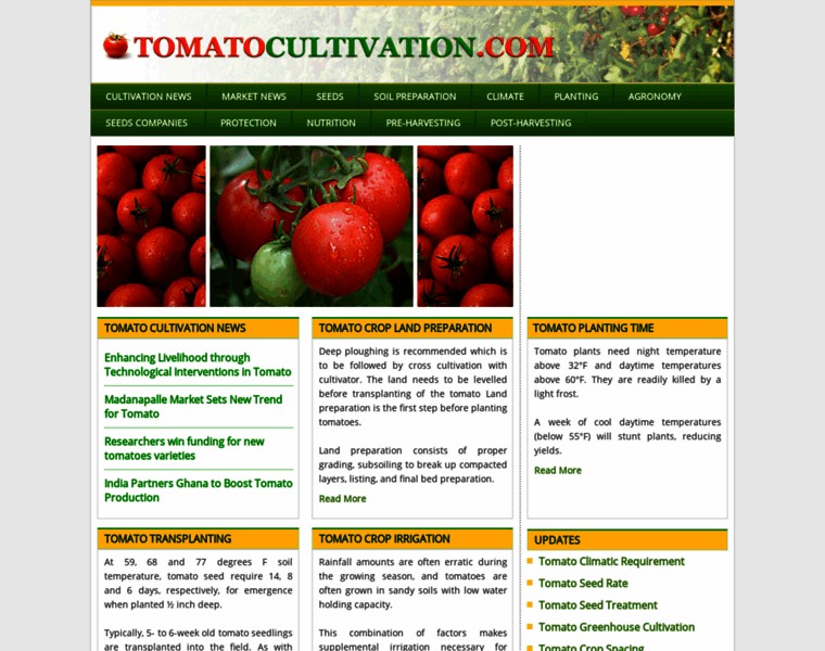 Tomatocultivation.com thumbnail