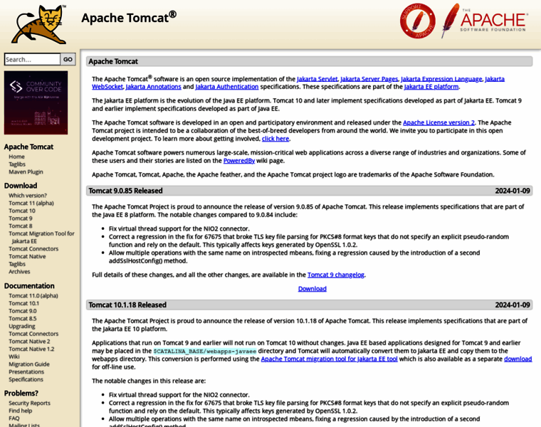 Tomcatexpert.com thumbnail