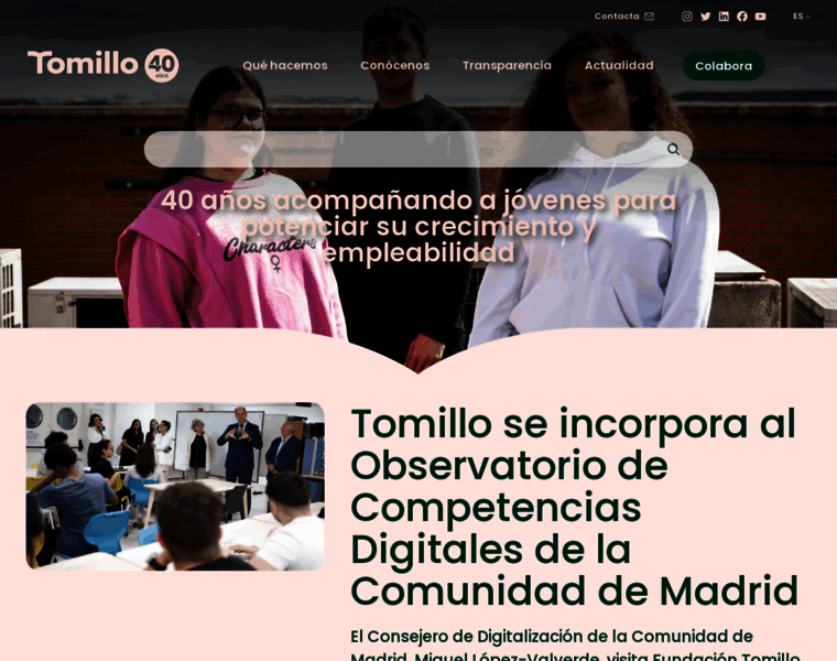Tomillo.org thumbnail