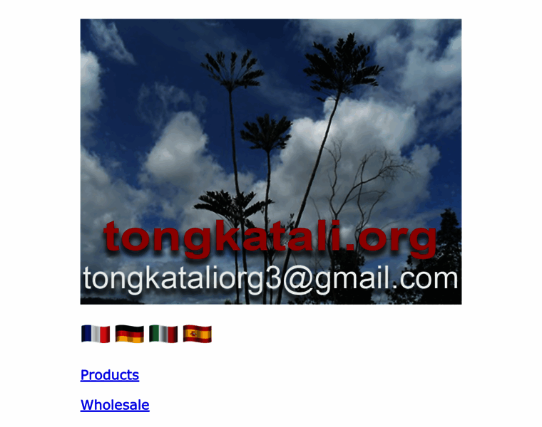 Tongkatali.org thumbnail