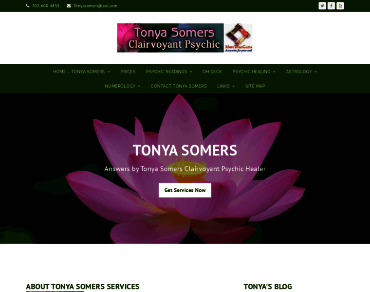 Tonyasomers.com thumbnail