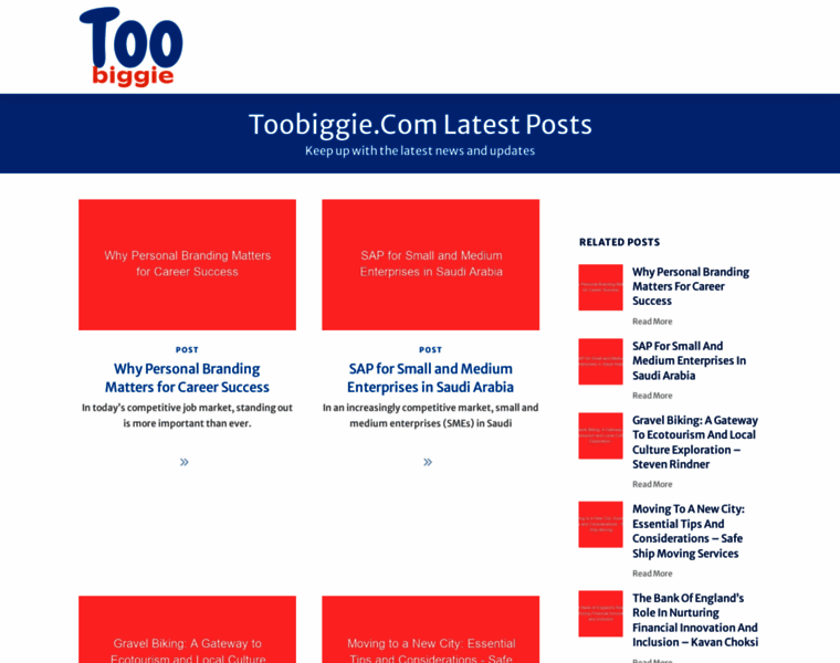 Toobiggie.com thumbnail