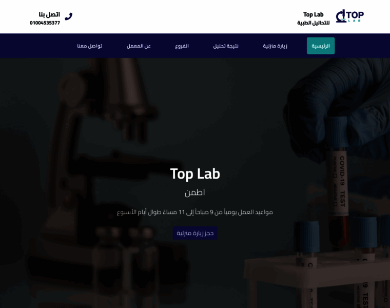 Top-lab.net thumbnail