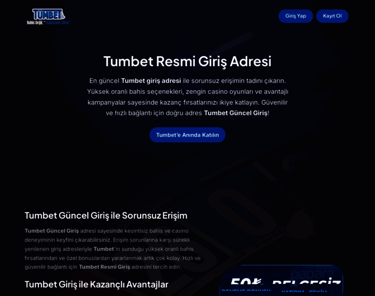 Top1-seo-service.com thumbnail
