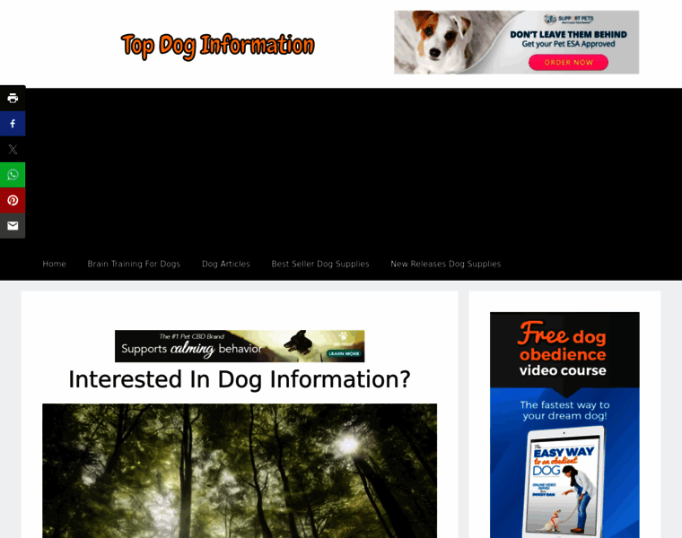 Topdoginformation.com thumbnail