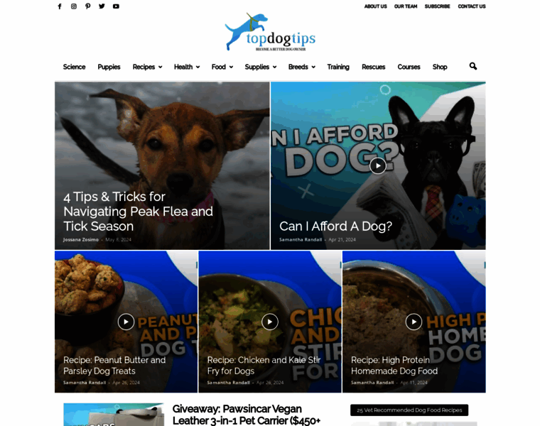 Topdogtips.com thumbnail