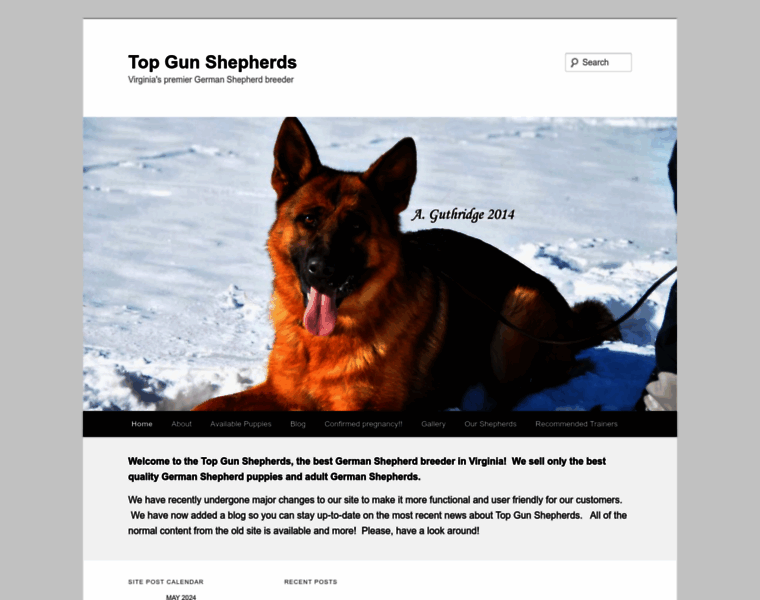 Topgunshepherds.com thumbnail
