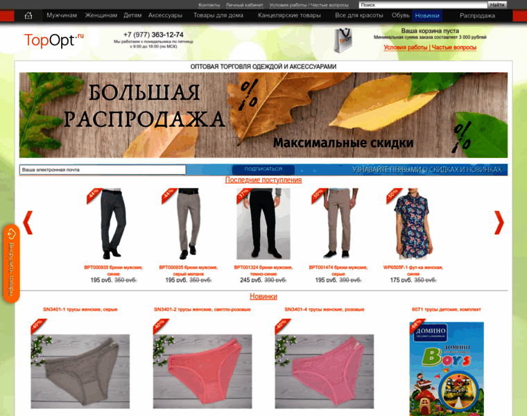 Topopt.ru thumbnail