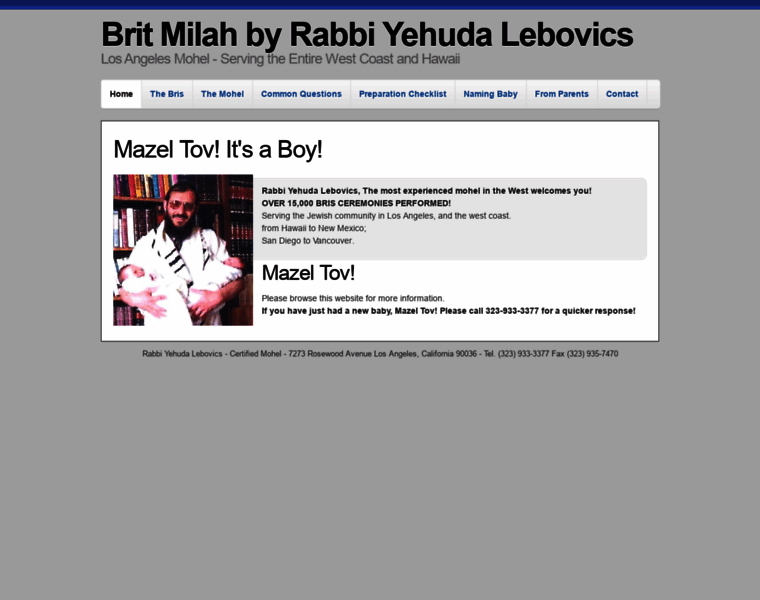 Torahview.com thumbnail