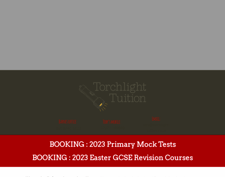 Torchlight-tuition.co.uk thumbnail