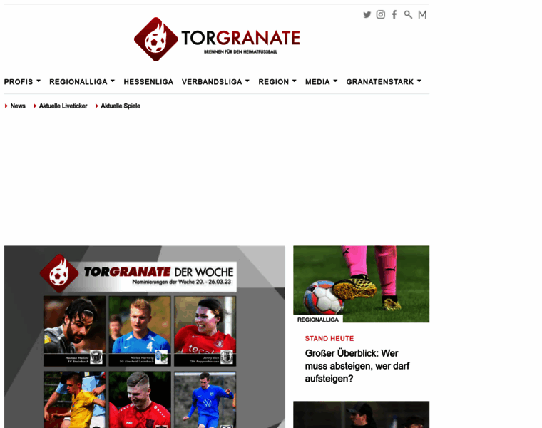 Torgranate-rhein-main.de thumbnail