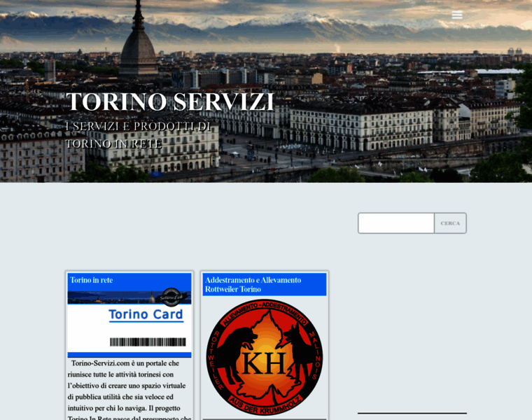 Torino-servizi.com thumbnail