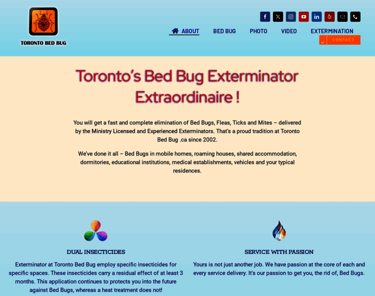 Torontobedbug.ca thumbnail