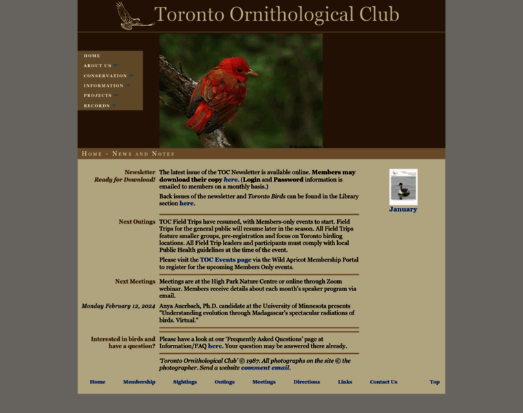 Torontobirding.ca thumbnail Torontobirding.ca thumbnail