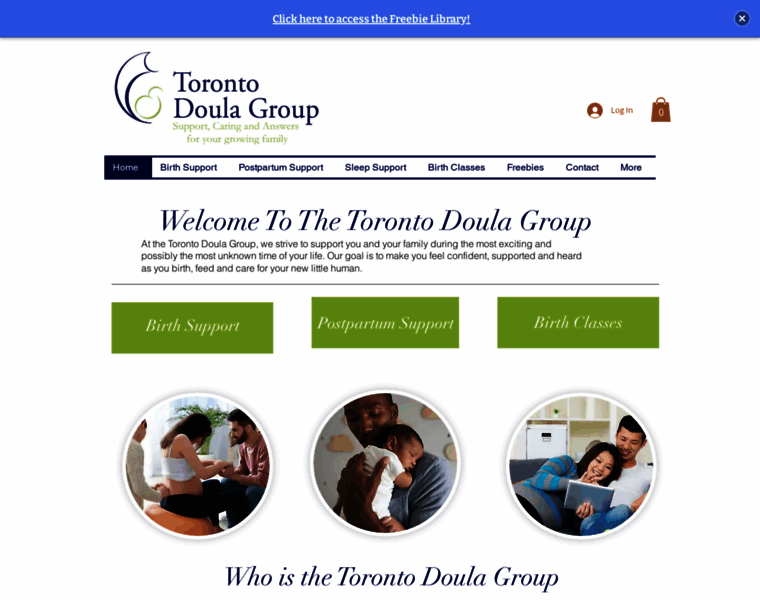 Torontodoulagroup.com thumbnail