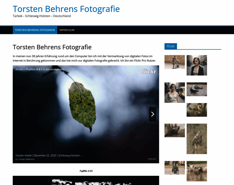 Torsten-behrens.de thumbnail