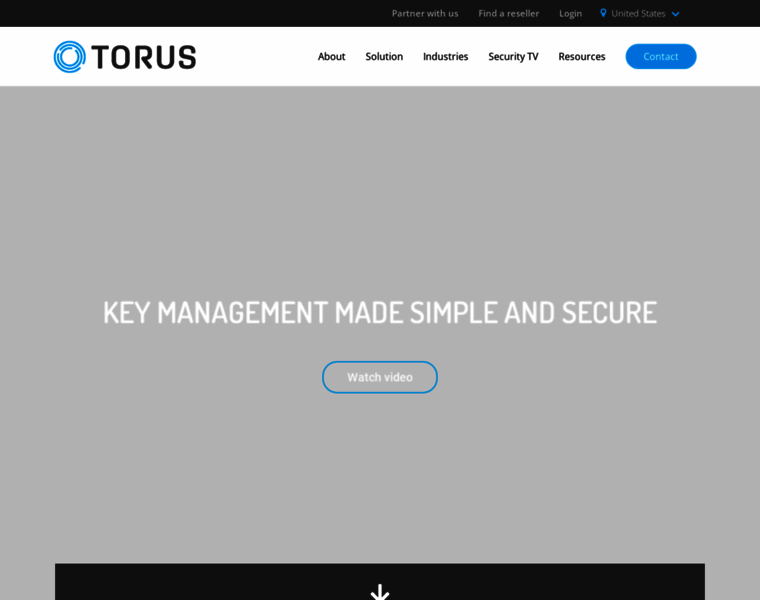 Torus-technology.com thumbnail