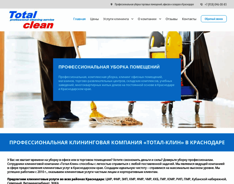 Total-cleaning.ru thumbnail