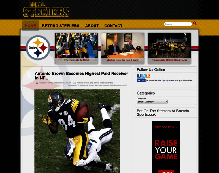 Totalsteelers.com thumbnail