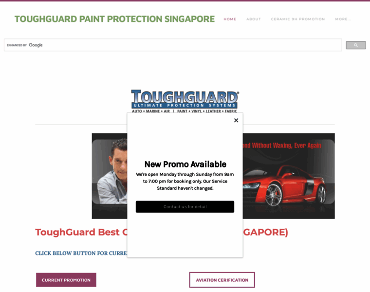 Toughguardsingapore.com thumbnail