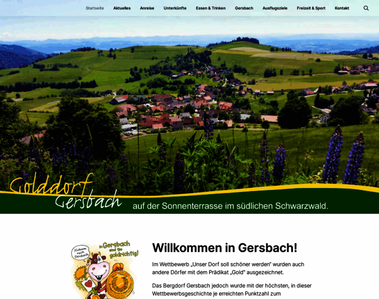 Tourismus-gersbach.de thumbnail