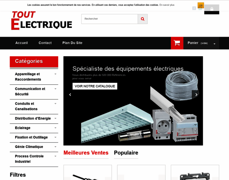 Tout-electrique.com thumbnail